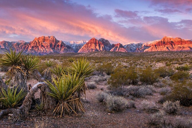 2-Hour Horseback Riding through Red Rock Canyon - The Big Reasons This Ride Gets So Much Love