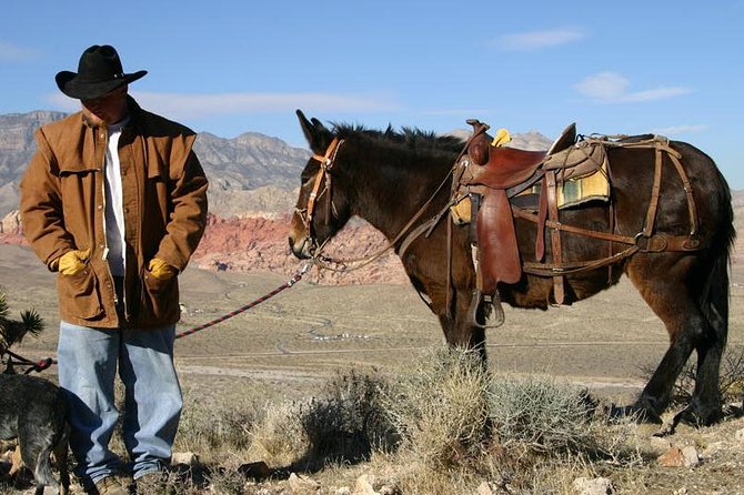 2-Hour Horseback Riding through Red Rock Canyon - Price and Value: Is $149 Worth It?