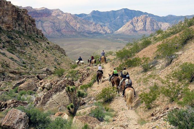 2-Hour Horseback Riding through Red Rock Canyon - Who Should Book This (and Who Should Rethink It)