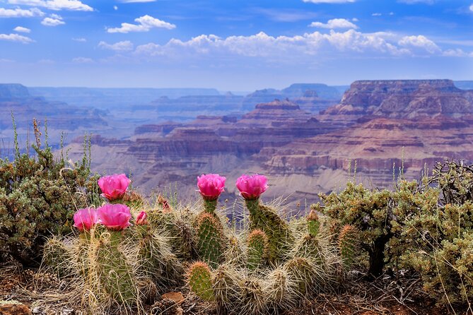 3-Day Grand Canyon, Antelope, Bryce & Zion Tour from Vegas - What the Included Guide Actually Does for You
