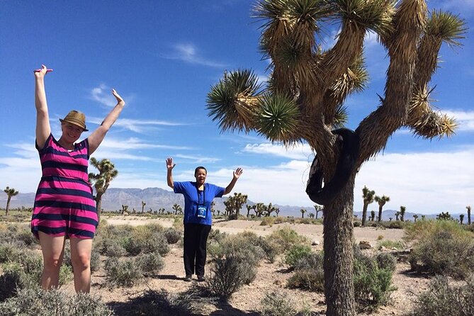 Area 51 Day Tour from Las Vegas with Alien and UFO Hotspots - Little A’Le’Inn: your lunch stop and the mood shift