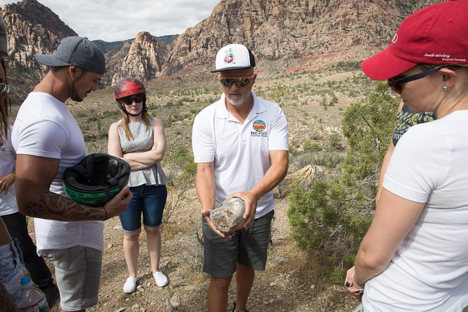 Award Winning Red Rock Canyon Tours - Spring Mountain Ranch State Park: a time machine with burros, trees, and springs