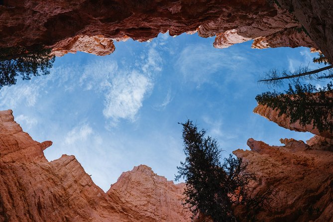 Bryce Canyon & Zion National Park from Las Vegas with Lunch, WiFi - Checkerboard Mesa: The 10-Minute Stop That’s Pure Geology