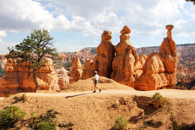 Bryce Canyon & Zion National Park from Las Vegas with Lunch, WiFi - Who Should Book This Zion and Bryce Day Trip (and Who Might Not)?