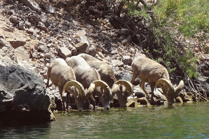 Emerald Cave & Black Canyon Kayak Tour with Vegas Pickup - Guides, Group Size, and Why This Feels Relaxed