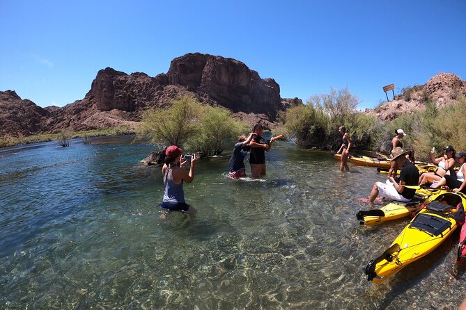 Emerald Cave Express Kayak Tour with Scenic & Historic Stops - Kayak Choice: Single vs Tandem and Who This Fits Best