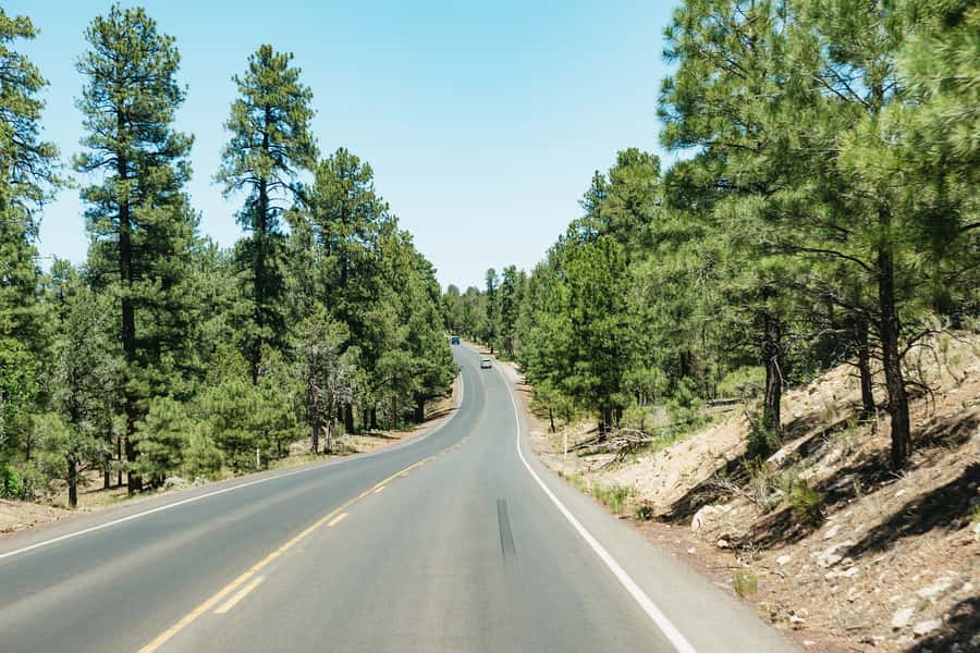 From Las Vegas: Grand Canyon South Rim Day Trip - South Rim free time: photo breaks and easy exploration