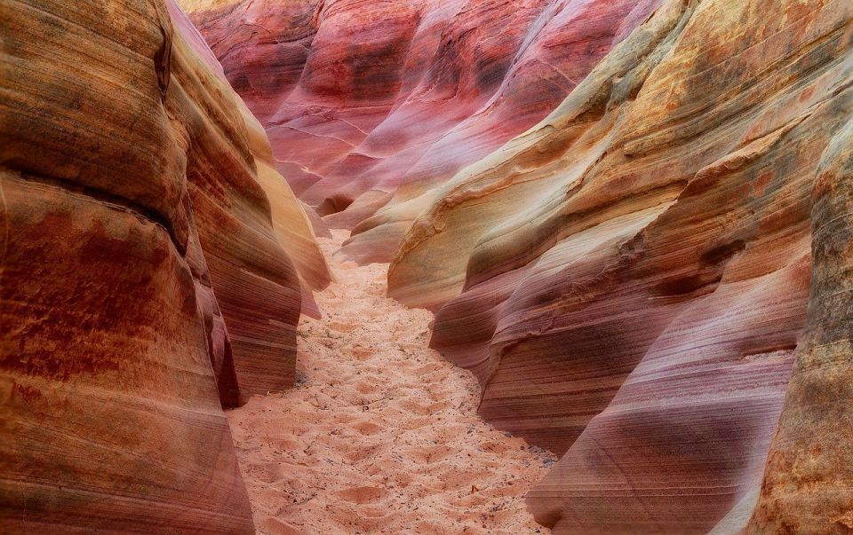 From Las Vegas: Valley of Fire State Park Tour - Petrified Trees and Petroglyphs: The Park’s Two Time Scales