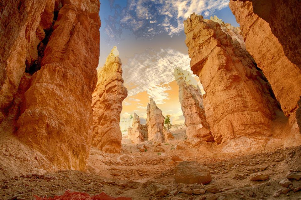 From Las Vegas: Zion and Bryce Canyon Day Trip with Pickup - Price and value: $239 per person makes sense for the payoff