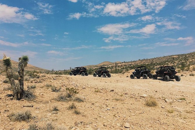 Guided Mojave Desert Off Road RZR Adventure - Stop 1: Mojave Desert Riding Time You’ll Feel in Your Arms