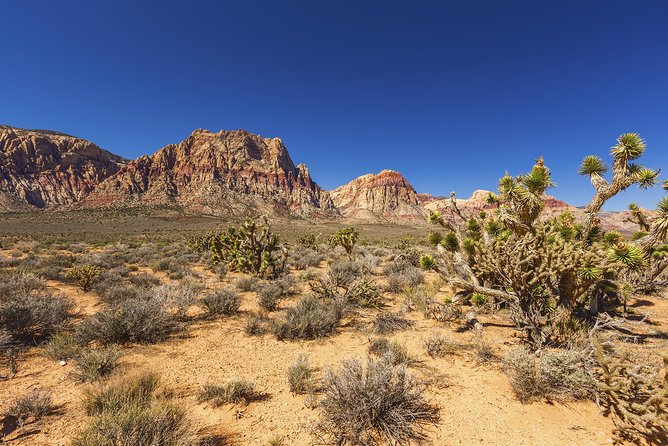 Half-Day Electric Bike Tour of Red Rock Canyon - Red Rock Canyon in four hours, without the Strip fatigue