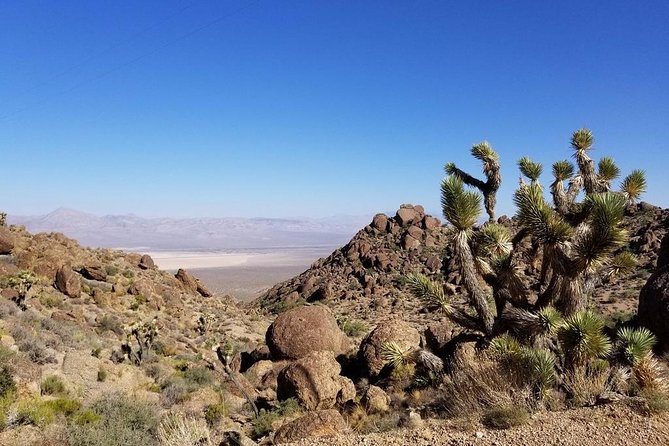 Half-Day Electric Bike Tour of Red Rock Canyon - Guided vs self-guided: what changes and what you should choose