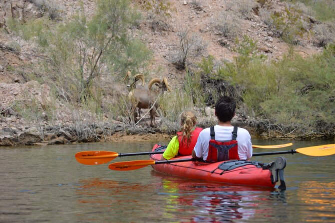 Hoover Dam & Hot Springs Kayak Tour with Lunch & Expert Guide - Arizona Hot Springs and the sauna cave: the payoff stop