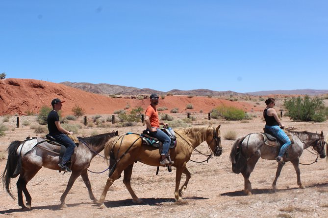 Horseback Ride in Las Vegas - The Lava Butte stop: red rock views and why this stop matters