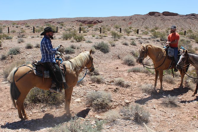Horseback Ride in Las Vegas - Price and value: what $85 includes and where costs pop up