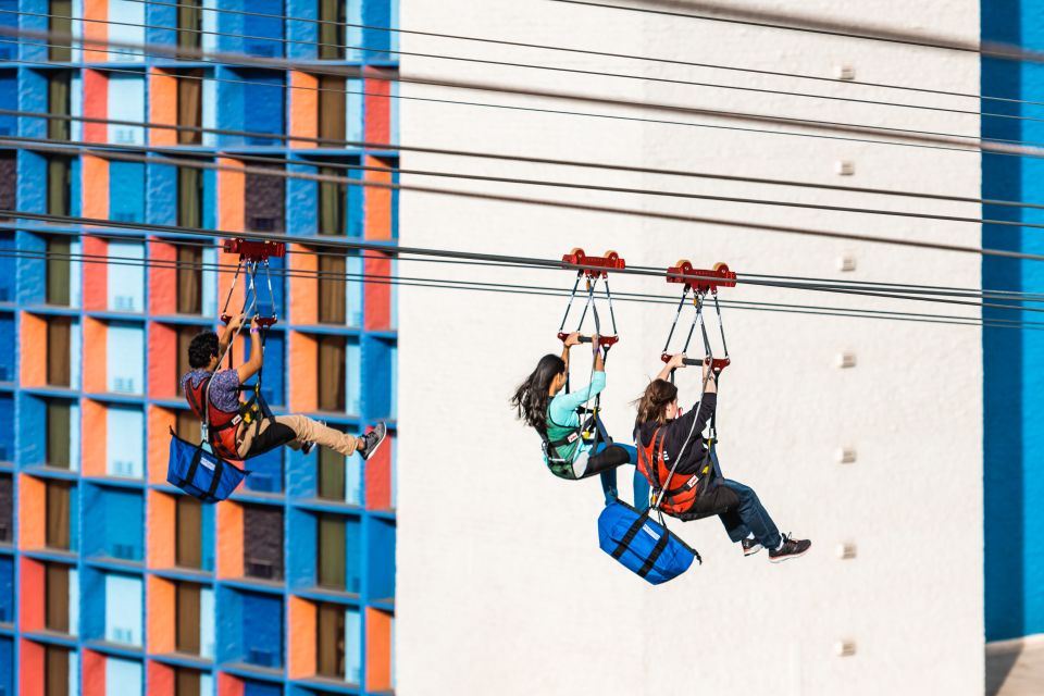 Las Vegas: FLY LINQ Zipline Ticket - Who Should Book the FLY LINQ Zipline, and Who Should Skip It