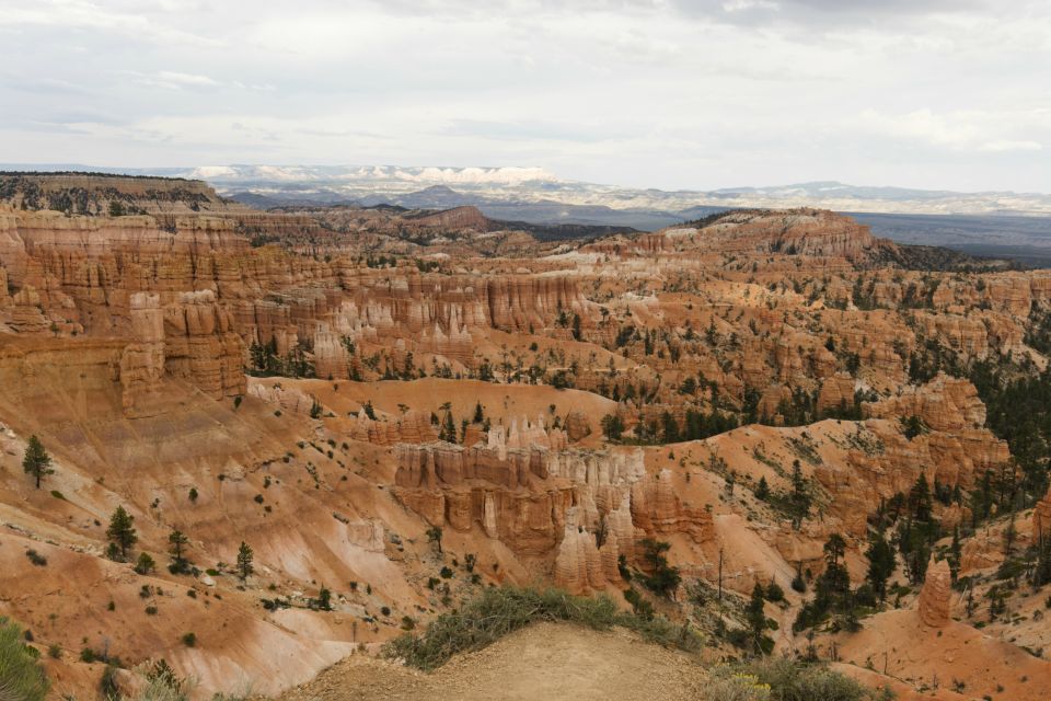 Las Vegas: Grand Canyon, Antelope, Bryce and Zion 3-Day Tour - Antelope Canyon with a Navajo guide: where guidance matters