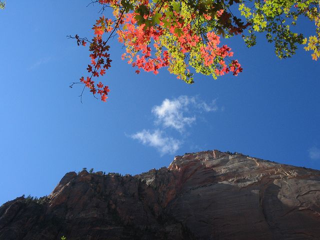 Las Vegas: Grand Canyon, Antelope, Bryce and Zion 3-Day Tour - Guide languages and the human factor (it matters more than you think)