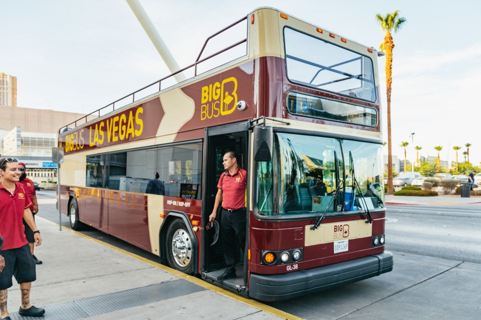 Las Vegas: Sightseeing Night Tour by Open-top Bus - Price and value: does $58 make sense for your Vegas plan?