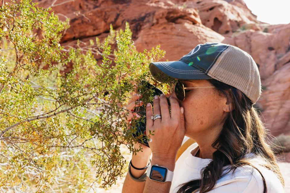 Las Vegas: Valley of Fire Guided Hike with Drinks and Snacks - Heat, wind, and timing: how to make your day feel easier