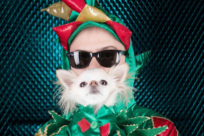 Piff the Magic Dragon at the Flamingo Las Vegas - Tickets, timing, and what to do when you arrive