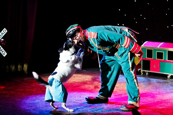 Popovich Comedy Pet Theater at Planet Hollywood Resort and Casino - Price and value: is $39 worth a Vegas afternoon?
