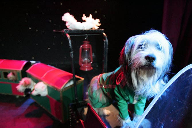 Popovich Comedy Pet Theater at Planet Hollywood Resort and Casino - What Popovich Comedy Pet Theater is really like