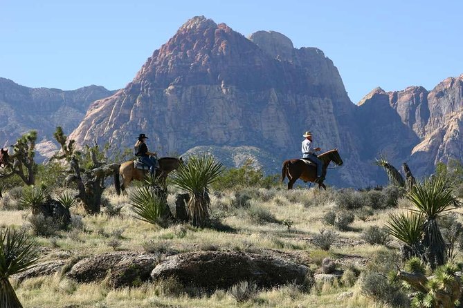 Red Rock Canyon Sunset Horseback Ride and Barbeque Dinner - The Trail Through Red Rock Canyon: Views, Gorges, and Rocky Bits