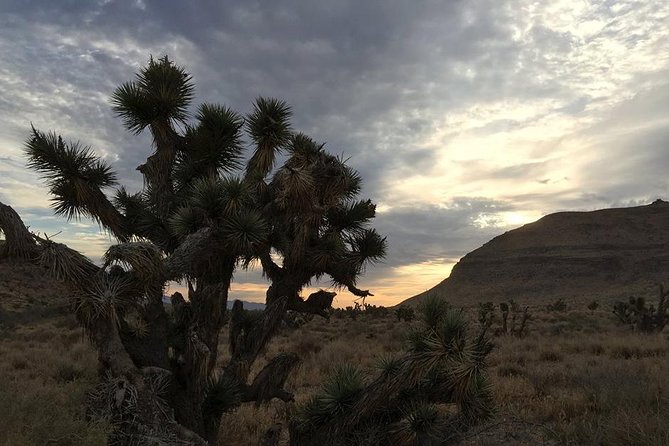 Red Rock Canyon Sunset Horseback Ride and Barbeque Dinner - Price and What You’re Actually Getting for $199