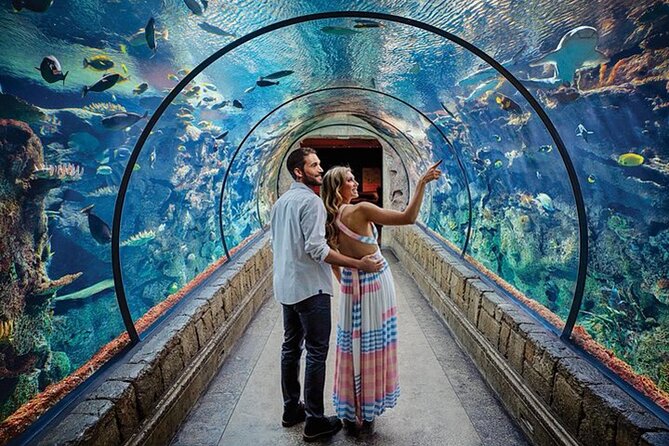 Shark Reef at Mandalay Bay Hotel and Casino - Stop 1: Finding Shark Reef inside the Mandalay Bay casino