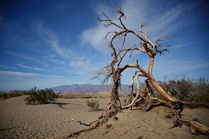 Small-Group Death Valley National Park Day Tour from Las Vegas - Dante’s View: The Big Panorama From High Above