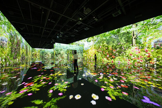 Ticket for ARTE Museum Las Vegas - Musée d’Orsay and French impressionist room: why art lovers may care