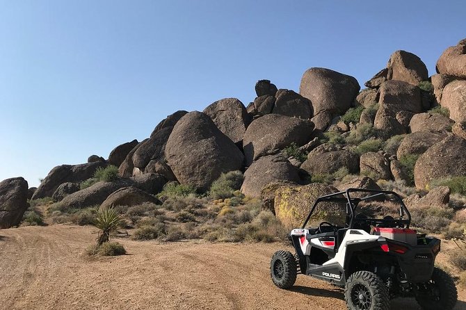 Ultimate Hidden Valley and Primm RZR Adventure from Las Vegas - McCullough Mountain Range views: Joshua tree country and big empty sky