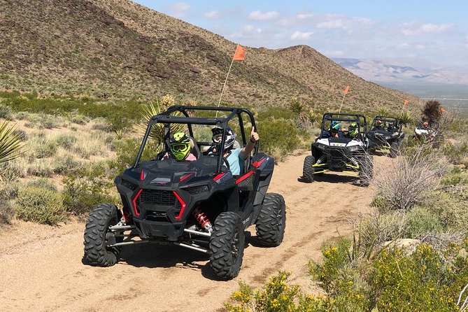 Ultimate Hidden Valley and Primm RZR Adventure from Las Vegas - Primm Valley: desert trails with sweeping Mojave views