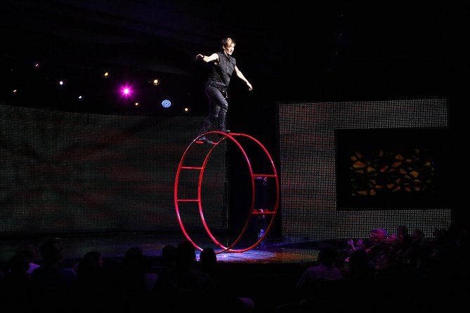 V - The Ultimate Variety Show at Planet Hollywood Resort and Casino - Key things to know before you go