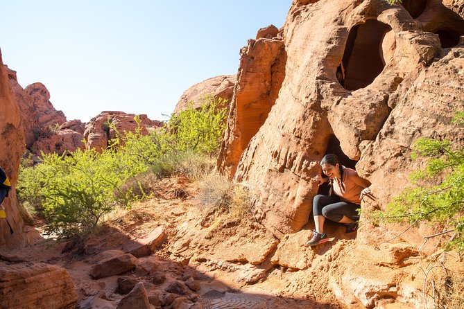 Valley of Fire Guided Hike from Las Vegas - What Happens on the Trail: Fire Wave, White Domes, Elephant Rock, Mouse’s Tank, Rainbow Vista