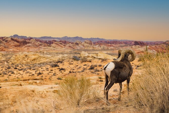 Valley of Fire Sunset Tour from Las Vegas - Sunset at Rainbow Vista: the payoff and the final push