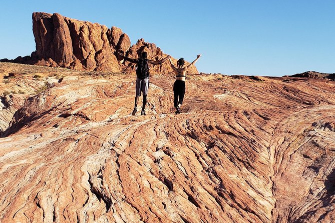 Valley of Fire Tour - Red sandstone scenery and wildlife moments you’ll actually remember