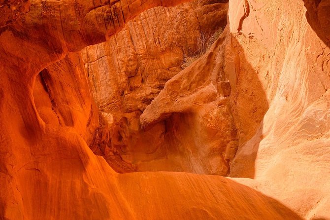 Valley of Fire Tour - Price and value: why $119 feels fair for what you get