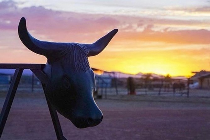 Wild West Sunset Horseback Ride with Dinner from Las Vegas - Campfire under the stars: the one “maybe” you should plan for