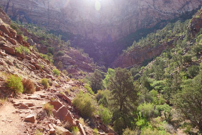 Zion National Park Small Group Tour from Las Vegas - A Small-Group Zion Day Trip That Leaves Vegas Early