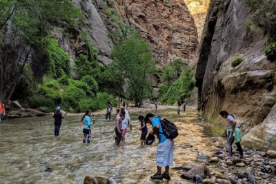 Zion National Park Small Group Tour from Las Vegas - Virgin River Gorge and Utah Red-Sand Stops on the Way to Zion