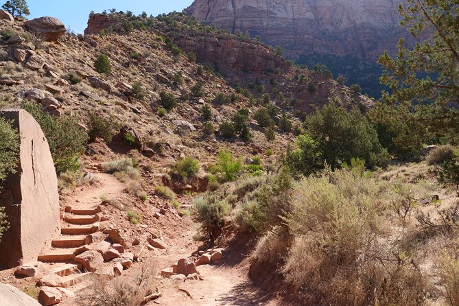 Zion National Park Small Group Tour from Las Vegas - Zion Canyon Scenic Drive Stops: Emerald Pools, Narrows, and More